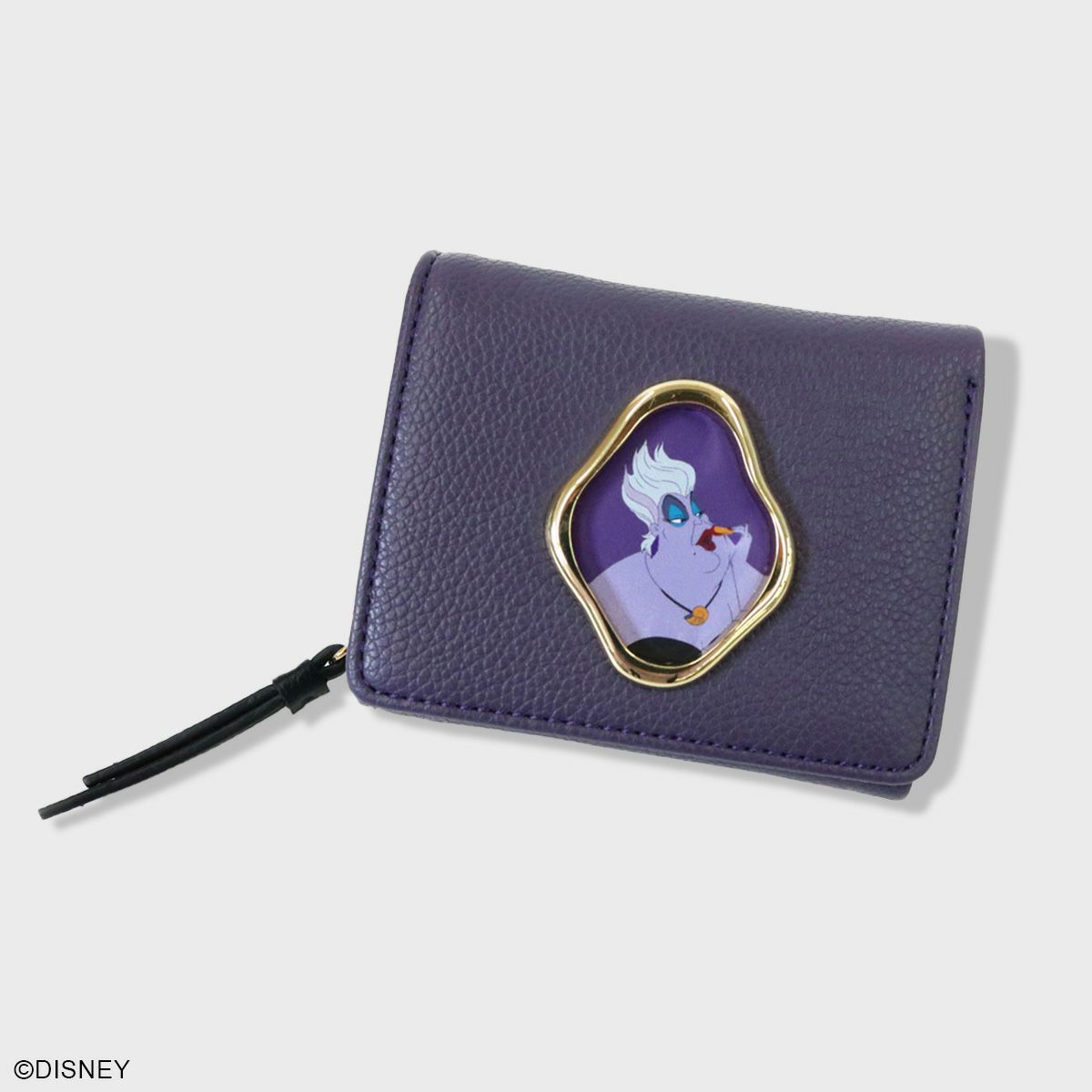 Disney ディズニー ヴィランズ 長財布 COACH 国内発送 コーチ 財布 レディース 長財布 ディズニー